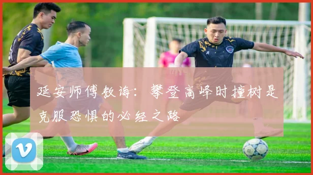 延安师傅教诲：攀登高峰时撞树是克服恐惧的必经之路